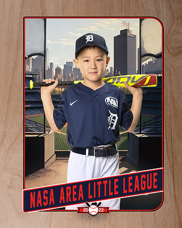 ALL_FILES_Coach_Pitch_Tigers_Donathan_Andrew_NAL12438_RETRO_