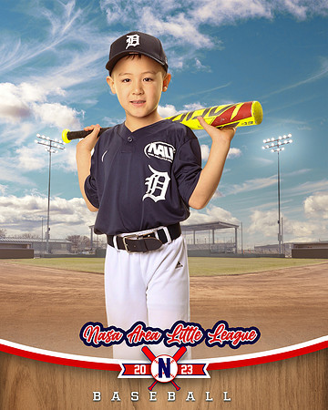 ALL_FILES_Coach_Pitch_Tigers_Donathan_Andrew_NAL12439_BALLPARK_