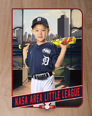 ALL_FILES_Coach_Pitch_Tigers_Donathan_Andrew_NAL12439_RETRO_