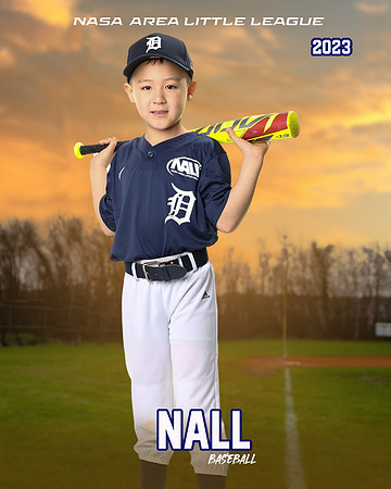 ALL_FILES_Coach_Pitch_Tigers_Donathan_Andrew_NAL12439_SUNSET_