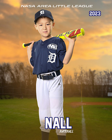 ALL_FILES_Coach_Pitch_Tigers_Donathan_Andrew_NAL12440_SUNSET_