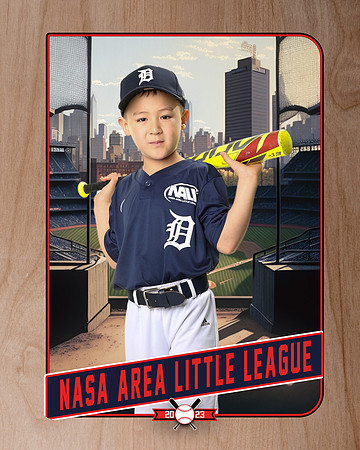 ALL_FILES_Coach_Pitch_Tigers_Donathan_Andrew_NAL12440_RETRO_