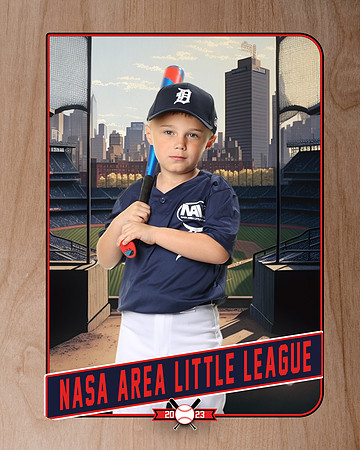 ALL_FILES_Coach_Pitch_Tigers_Griffith_Jase_NAL12379_RETRO_