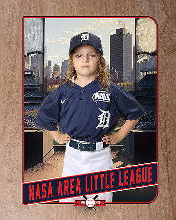 ALL_FILES_Coach_Pitch_Tigers_Lockhart_Thomas_NAL12388_RETRO_
