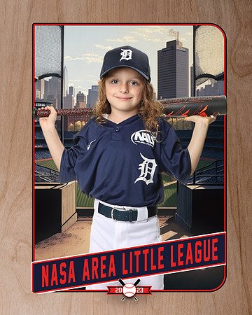 ALL_FILES_Coach_Pitch_Tigers_Lockhart_Thomas_NAL12391_RETRO_