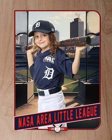 ALL_FILES_Coach_Pitch_Tigers_Lockhart_Thomas_NAL12393_RETRO_