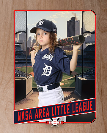 ALL_FILES_Coach_Pitch_Tigers_Lockhart_Thomas_NAL12394_RETRO_