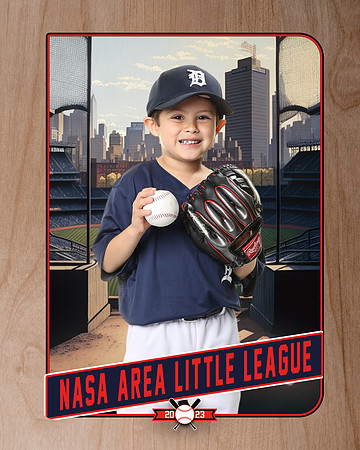 ALL_FILES_Coach_Pitch_Tigers_Saavedra_Javier_NAL12419_RETRO_