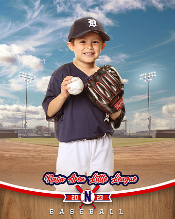 ALL_FILES_Coach_Pitch_Tigers_Saavedra_Javier_NAL12419_BALLPARK_