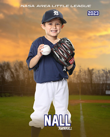 ALL_FILES_Coach_Pitch_Tigers_Saavedra_Javier_NAL12419_SUNSET_