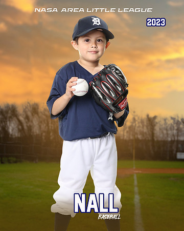 ALL_FILES_Coach_Pitch_Tigers_Saavedra_Javier_NAL12420_SUNSET_