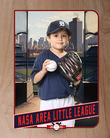 ALL_FILES_Coach_Pitch_Tigers_Saavedra_Javier_NAL12420_RETRO_