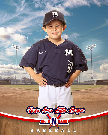 ALL_FILES_Coach_Pitch_Tigers_Saavedra_Javier_NAL12421_BALLPARK_