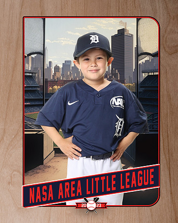 ALL_FILES_Coach_Pitch_Tigers_Saavedra_Javier_NAL12421_RETRO_