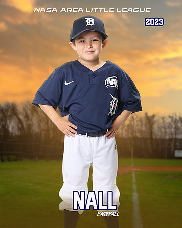 ALL_FILES_Coach_Pitch_Tigers_Saavedra_Javier_NAL12421_SUNSET_