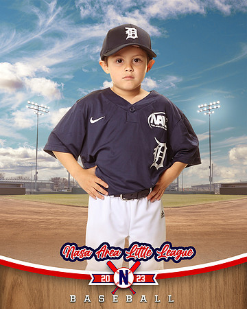ALL_FILES_Coach_Pitch_Tigers_Saavedra_Javier_NAL12422_BALLPARK_