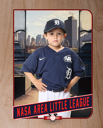 ALL_FILES_Coach_Pitch_Tigers_Saavedra_Javier_NAL12422_RETRO_
