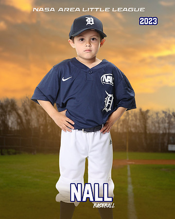 ALL_FILES_Coach_Pitch_Tigers_Saavedra_Javier_NAL12422_SUNSET_