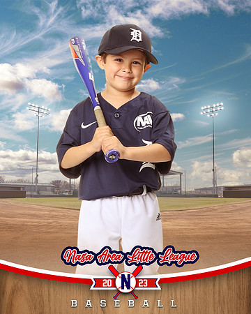 ALL_FILES_Coach_Pitch_Tigers_Saavedra_Javier_NAL12423_BALLPARK_