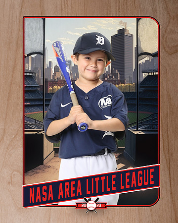 ALL_FILES_Coach_Pitch_Tigers_Saavedra_Javier_NAL12423_RETRO_