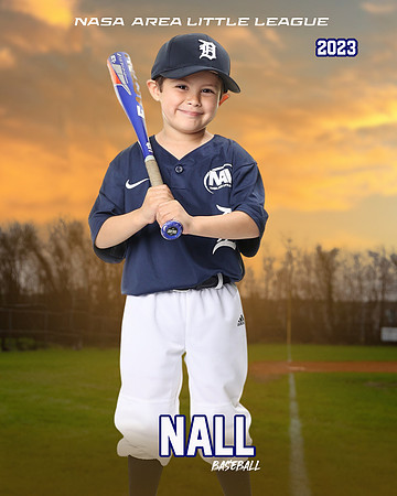 ALL_FILES_Coach_Pitch_Tigers_Saavedra_Javier_NAL12423_SUNSET_
