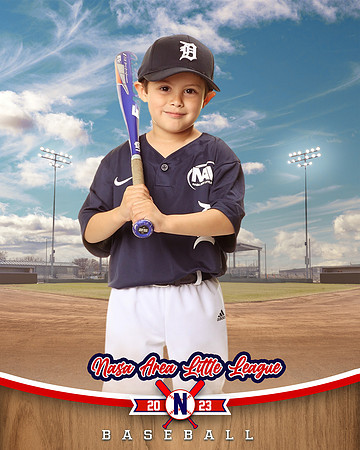ALL_FILES_Coach_Pitch_Tigers_Saavedra_Javier_NAL12424_BALLPARK_