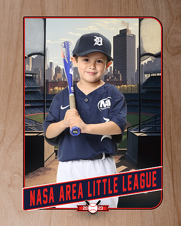 ALL_FILES_Coach_Pitch_Tigers_Saavedra_Javier_NAL12424_RETRO_
