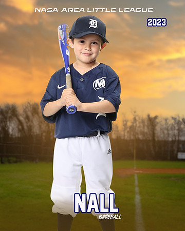 ALL_FILES_Coach_Pitch_Tigers_Saavedra_Javier_NAL12424_SUNSET_
