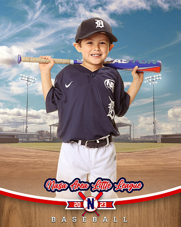 ALL_FILES_Coach_Pitch_Tigers_Saavedra_Javier_NAL12425_BALLPARK_