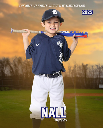 ALL_FILES_Coach_Pitch_Tigers_Saavedra_Javier_NAL12425_SUNSET_