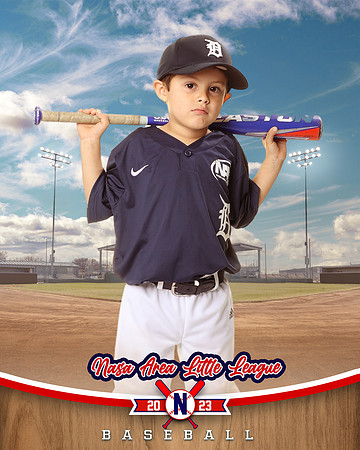 ALL_FILES_Coach_Pitch_Tigers_Saavedra_Javier_NAL12426_BALLPARK_