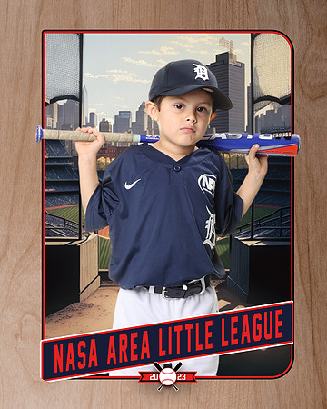 ALL_FILES_Coach_Pitch_Tigers_Saavedra_Javier_NAL12426_RETRO_