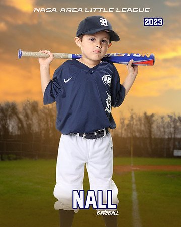 ALL_FILES_Coach_Pitch_Tigers_Saavedra_Javier_NAL12426_SUNSET_