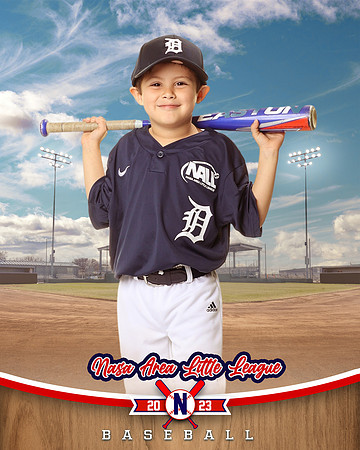 ALL_FILES_Coach_Pitch_Tigers_Saavedra_Javier_NAL12427_BALLPARK_