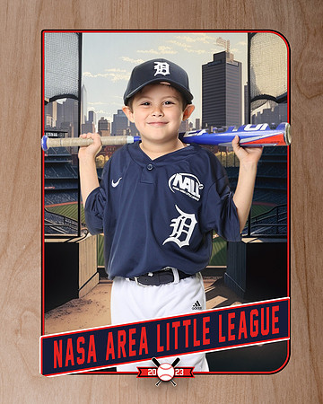 ALL_FILES_Coach_Pitch_Tigers_Saavedra_Javier_NAL12427_RETRO_