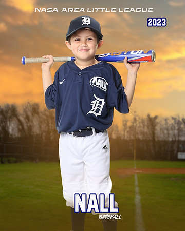 ALL_FILES_Coach_Pitch_Tigers_Saavedra_Javier_NAL12427_SUNSET_