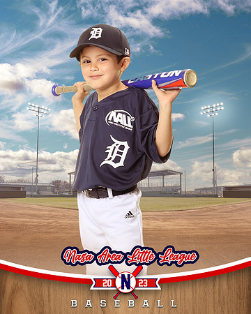 ALL_FILES_Coach_Pitch_Tigers_Saavedra_Javier_NAL12428_BALLPARK_