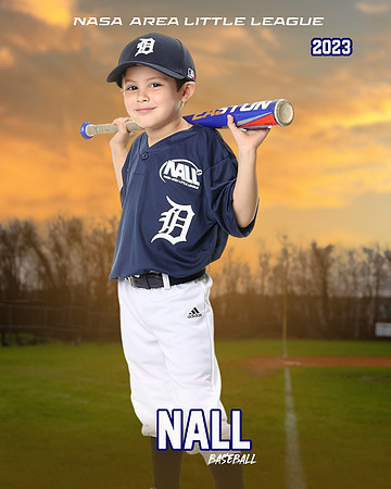 ALL_FILES_Coach_Pitch_Tigers_Saavedra_Javier_NAL12428_SUNSET_