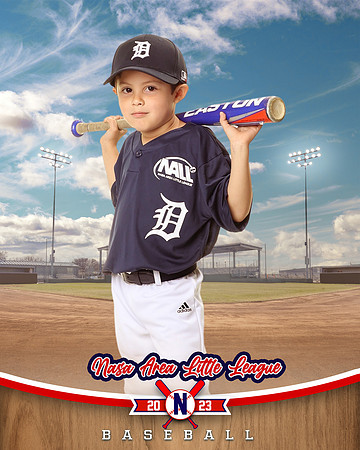 ALL_FILES_Coach_Pitch_Tigers_Saavedra_Javier_NAL12430_BALLPARK_