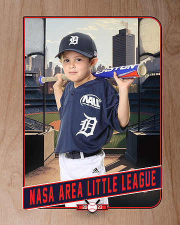 ALL_FILES_Coach_Pitch_Tigers_Saavedra_Javier_NAL12430_RETRO_