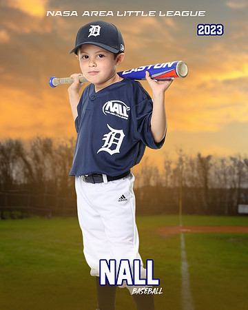 ALL_FILES_Coach_Pitch_Tigers_Saavedra_Javier_NAL12430_SUNSET_