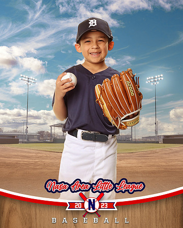 ALL_FILES_Coach_Pitch_Tigers_Sauceda_Jose_NAL12353_BALLPARK_