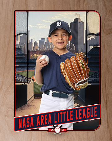 ALL_FILES_Coach_Pitch_Tigers_Sauceda_Jose_NAL12353_RETRO_