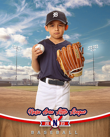 ALL_FILES_Coach_Pitch_Tigers_Sauceda_Jose_NAL12354_BALLPARK_