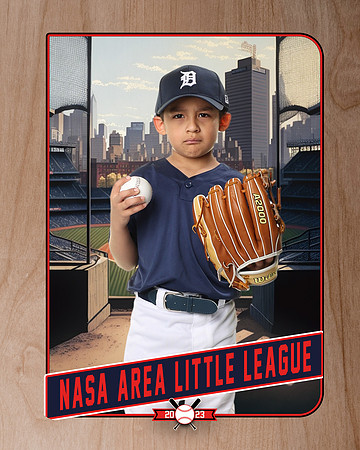 ALL_FILES_Coach_Pitch_Tigers_Sauceda_Jose_NAL12354_RETRO_