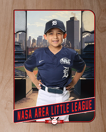 ALL_FILES_Coach_Pitch_Tigers_Sauceda_Jose_NAL12355_RETRO_