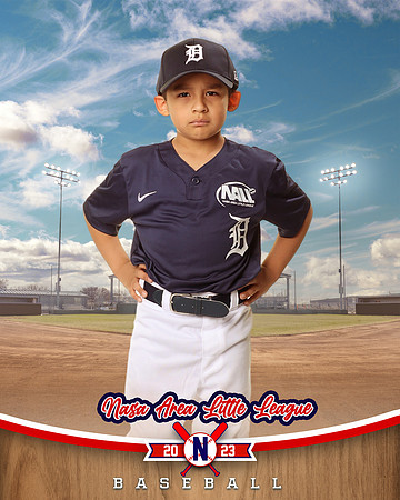 ALL_FILES_Coach_Pitch_Tigers_Sauceda_Jose_NAL12356_BALLPARK_