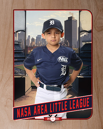 ALL_FILES_Coach_Pitch_Tigers_Sauceda_Jose_NAL12356_RETRO_