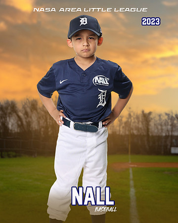ALL_FILES_Coach_Pitch_Tigers_Sauceda_Jose_NAL12356_SUNSET_