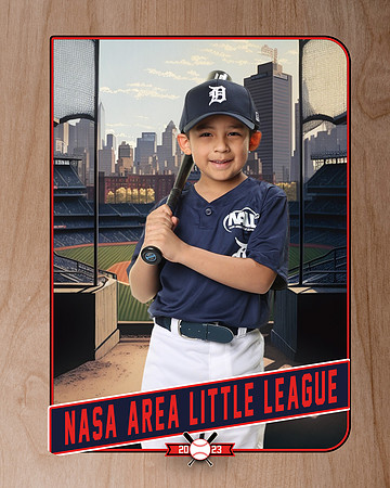 ALL_FILES_Coach_Pitch_Tigers_Sauceda_Jose_NAL12357_RETRO_